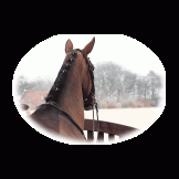crystal de guzman recommends adreine de luxe pic