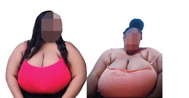 ana mourao recommends african big titties pic