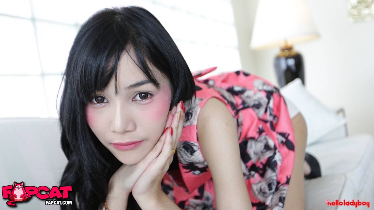 ankita bhotika like asian ladyboy blowjobs photo claudia hunter recommends asian ladyboy blowjobs pic