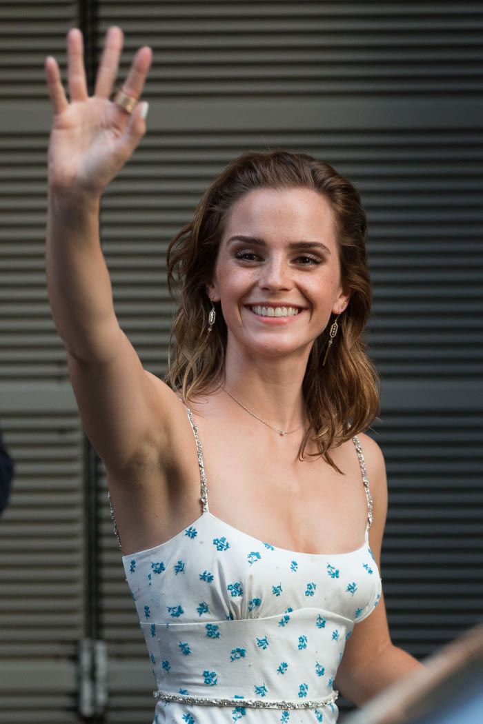 darrin hartman recommends Hairy Emma Watson