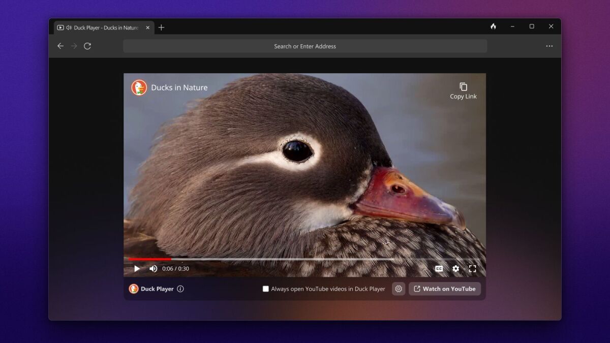 derrick blakely recommends duck porn pic
