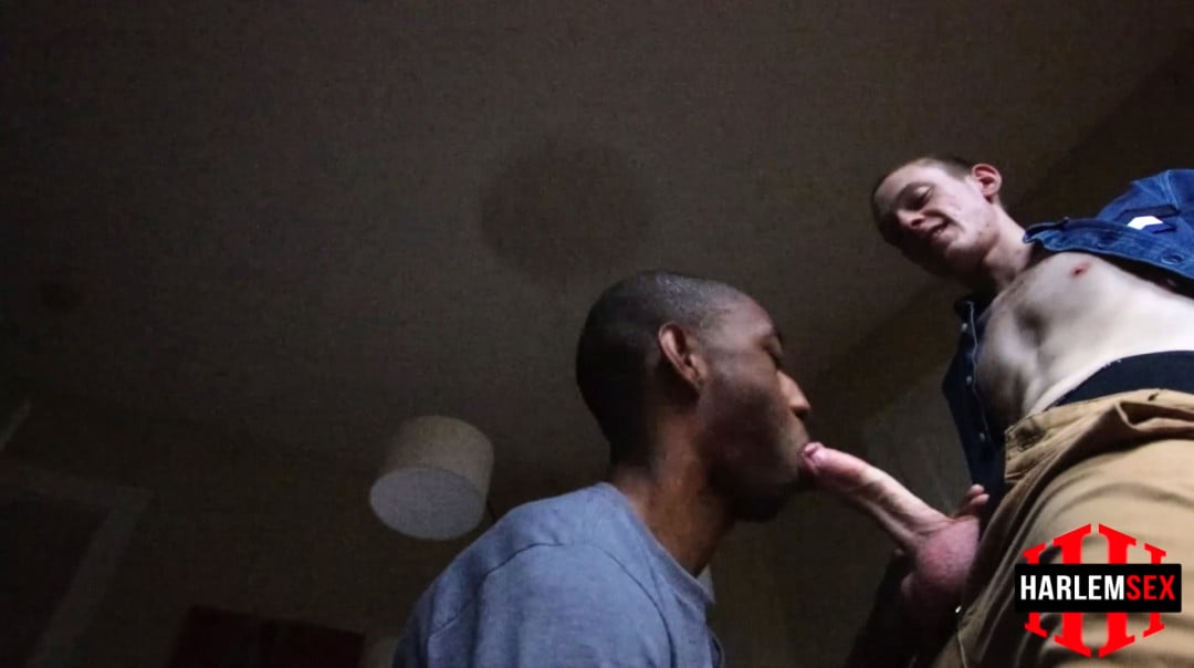angel peguero recommends gay smoke porn adebola adewale add gay smoke porn photo