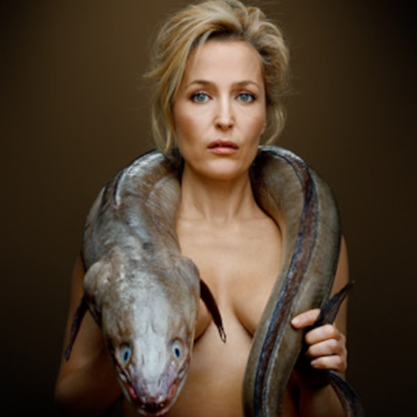 gillian anderson nude - fat mature huge tits giant milky boobs