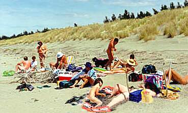 Best of azeri sex christopher pocock share free nude beach photos