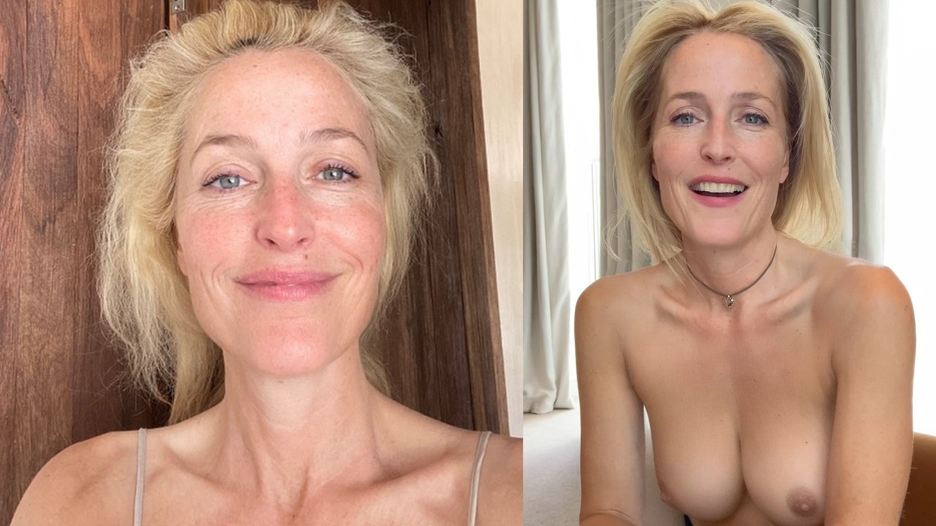 carl mcgeorge recommends gillian anderson nude pic