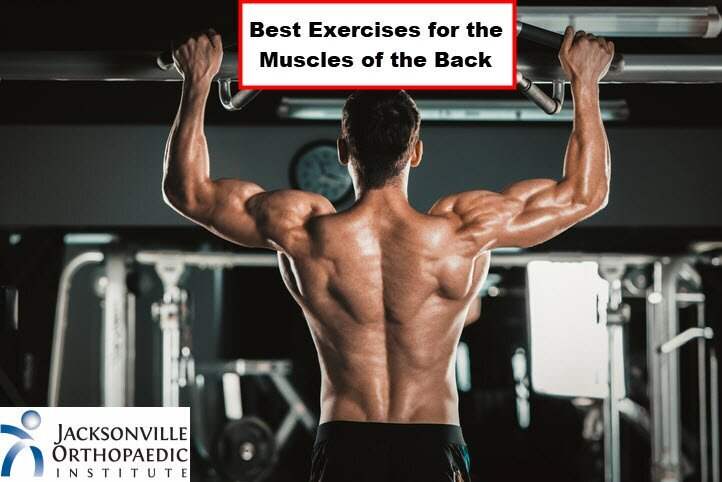alison freed like joi muscle photo david teschler recommends joi muscle pic