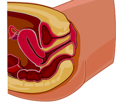 alma casabuena recommends Pelvic Exam Porn