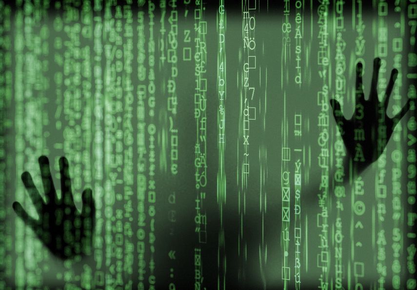 Best of Pornografia dark web