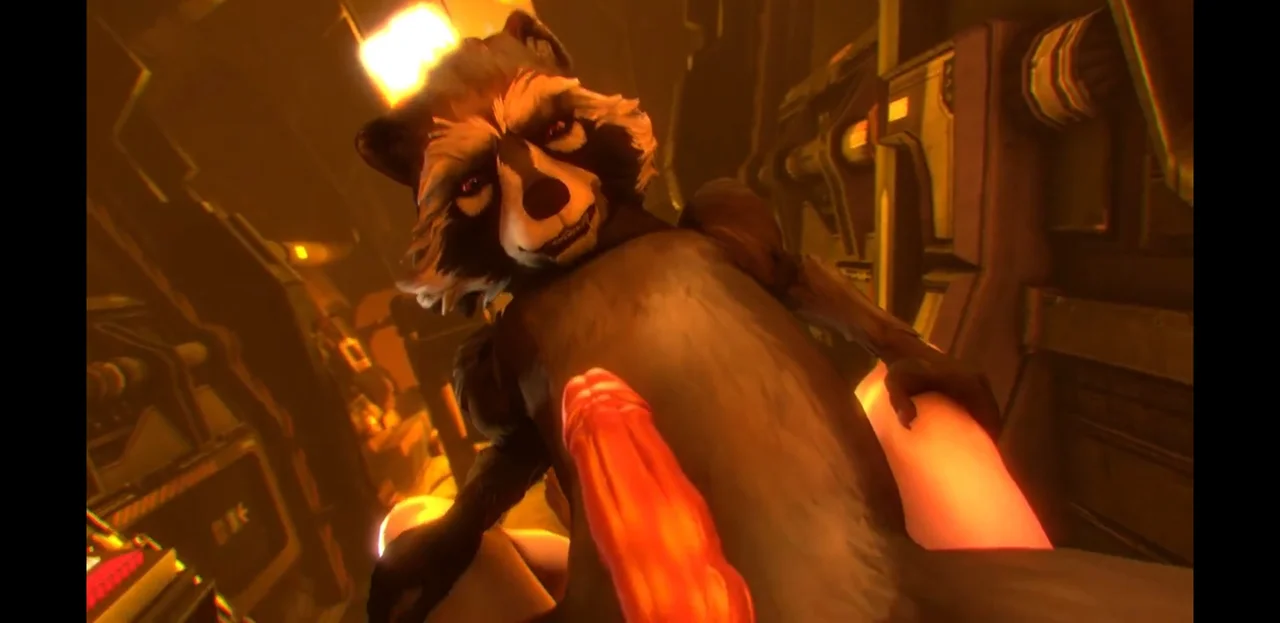 raccoon porn gatlinburg tn raccoon porn