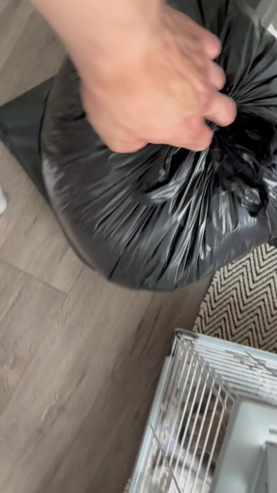 beno sebastian like porn trash bag photo chuck connon recommends brazzers pornstar punishment pic